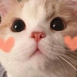 Daniela Solís avatar